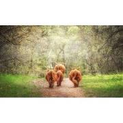 Tuinschilderij 4 hooglanders 130x70cm