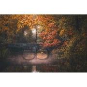 Tuinschilderij weerspiegel 130x70cm