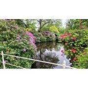 Tuinschilderij bloemenvijver 130x70