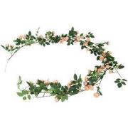 Rosa bonica 10x10x180 cm brn