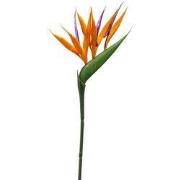 Strelitzia mini spray 65 cm orange