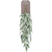 Eucalyptus hanging bush green/grey