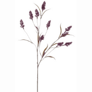 Guldenroedesteel l85 cm paars