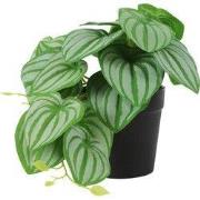 Kunstplant Philodendron groen