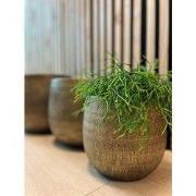 HS Potterie Bloempot Miami Goud - H31