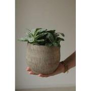 HS Potterie Bloempot Miami Grijs Bruin - H40