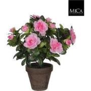 6 stuks! Azalea roze in pot stan grijs d11,5 cm h27 cm Mica Decoration...