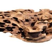 Honeycomb wood x large