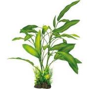 Art plant 40 cm cryptocoryne Superfish