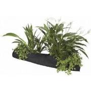 Plant Sock 10 x 80 cm display 35 vijveraccesoires