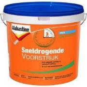 Voorstrijk Sneldrogend 10L