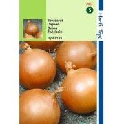 2 stuks - HT Uien Hyskin F1