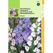 2 stuks - Campanula Medium Enkelbloemig Gemengd