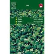 5 stuks - Spinazie Breedblad Scherpzaad, Zomer