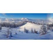 Achtergrond doek Winter Bos 150 x 75 cm