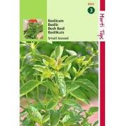 2 stuks - Basilicum Fijne
