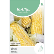 Zaden witte mais glacial 20 zaden