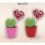 URBANJNGL - Sweetheart Plant Set - Groene Mini Gift - Pot & Plant Set ...