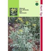 2 stuks - HT Wijnruit