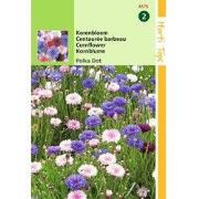 2 stuks - Centaurea Cyanus Polka Dot Gemengd