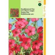 2 stuks - Linum Rubrum Grandiflorum, Rood