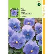 2 stuks - HT Viola, Viool Celestial