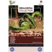 3 stuks - Ornamental gourd speckled swan