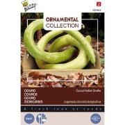 3 stuks - Ornamental gourd italian edible cucuzi