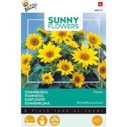 3 stuks - Sunny flowers pacino gold