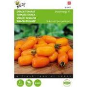 Zaden snacktomaat dattorange f1 8 zaden