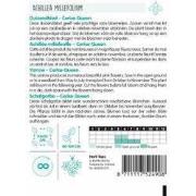 Zaden achillea cerise queen 0.08g