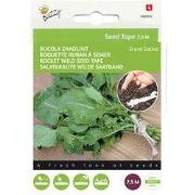 Zaadband rucola 7 5m tuinzaden
