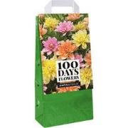 Tas Dahlia waterlily mix, 5 bloembollen
