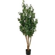Mica Decorations Eucalyptusboom – Kunstplant in Pot – Realistische Nep...