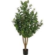 Mica Decorations Eucalyptusboom – Kunstplant in Pot – Realistische Nep...
