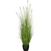 Mica Decorations Eremurus – Kunstgras in Pot – Realistische Nepplant W...