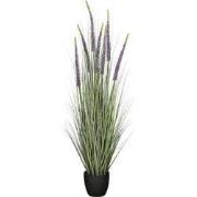 Mica Decorations Eremurus – Kunstgras in Pot – Realistische Nepplant W...