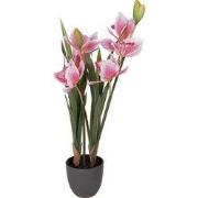 Clayre & Eef Kunstplant 14x14x55 cm Roze Kunststof