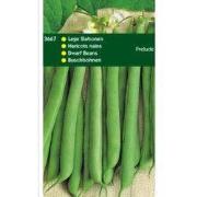 5 stuks - Stamslabonen Prelude 250 gram