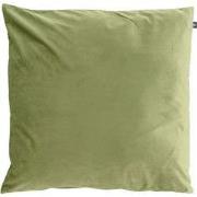Jolie Moss sierkussen 60 x 60 cm