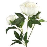 Paeonia kunststof 23x13x73 cm wit kunstbloem