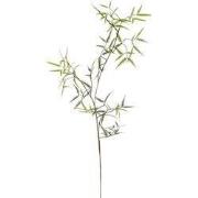 Fern mini spray green 110 cm