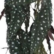 Elephant's ear 77 cm kunstplant