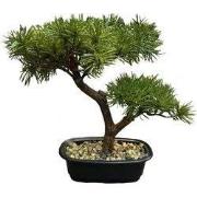 Bonsai pine tree 26 cm kunstplant