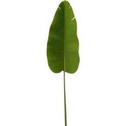 Strelitziablad 136 cm kunsttak