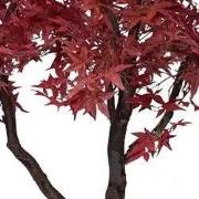 Esdoorn boom 200 cm kunstplant