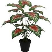 Caladium rood- 50 cm kunstplant