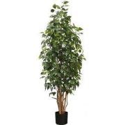 Ficus 165 cm kunstplant