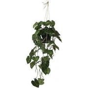 Philodendron hang 105 cm kunstplant
