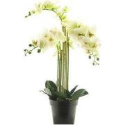 Rt phalaenopsis bora x5 in pot 60 cm white kunstplant